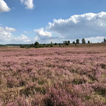 Zum Bothmerschen Krug Schwarmstedt Extérieur photo
